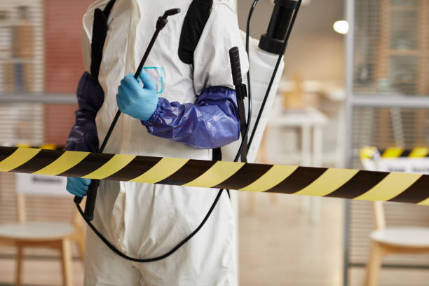 Professional Biohazard technician working in Blue Ridge, TX